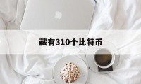 藏有310个比特币(拥有028个比特币)